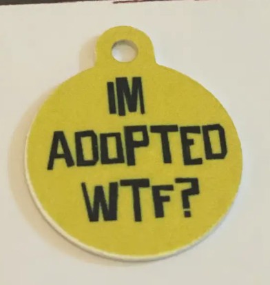 Pup Personality Tags