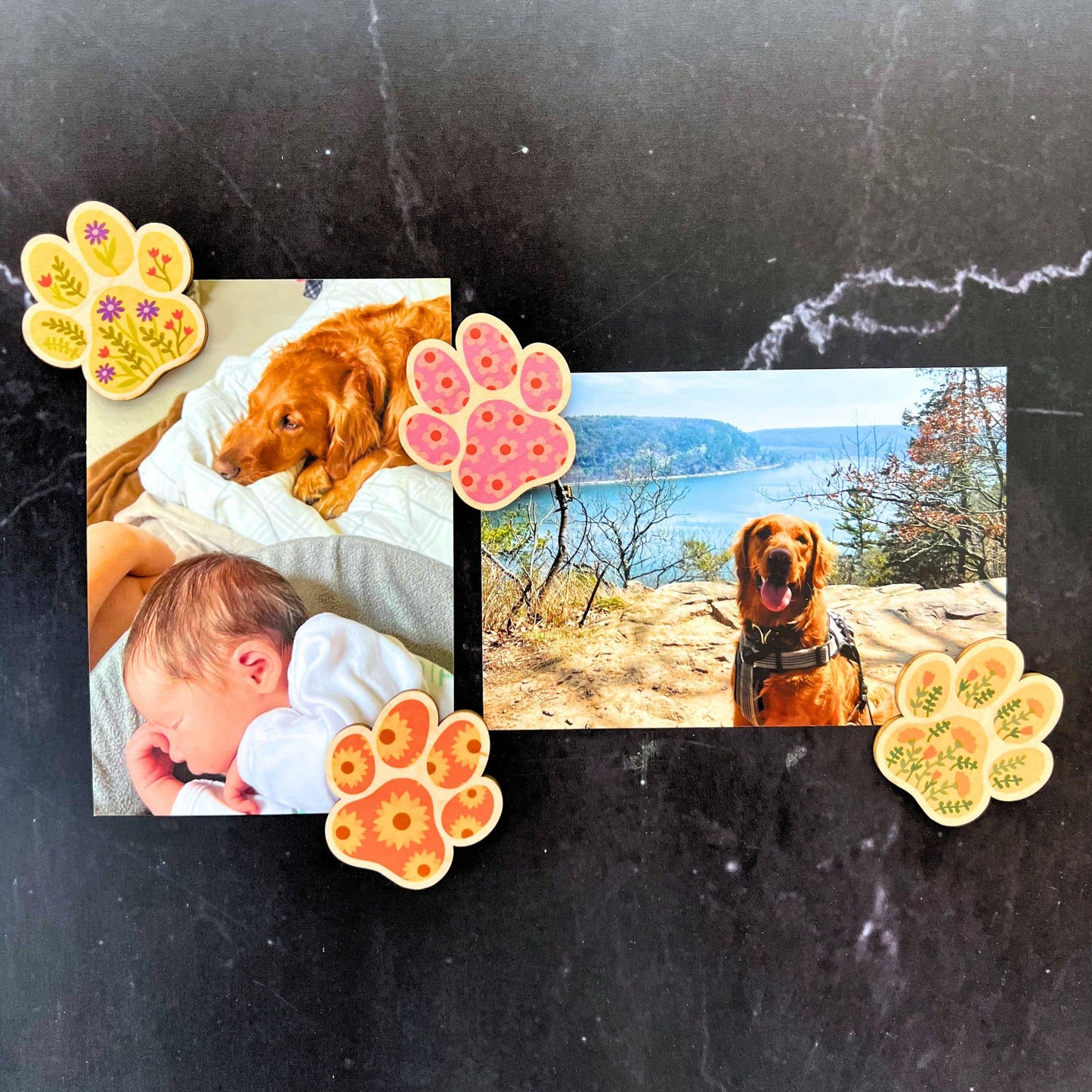 Summer Flowers Dog Paw Print Magnet Set - Home Decor